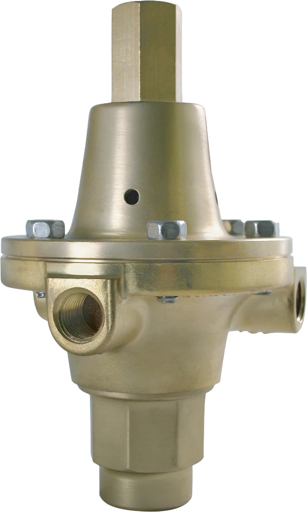 OMI gas pressure regulator